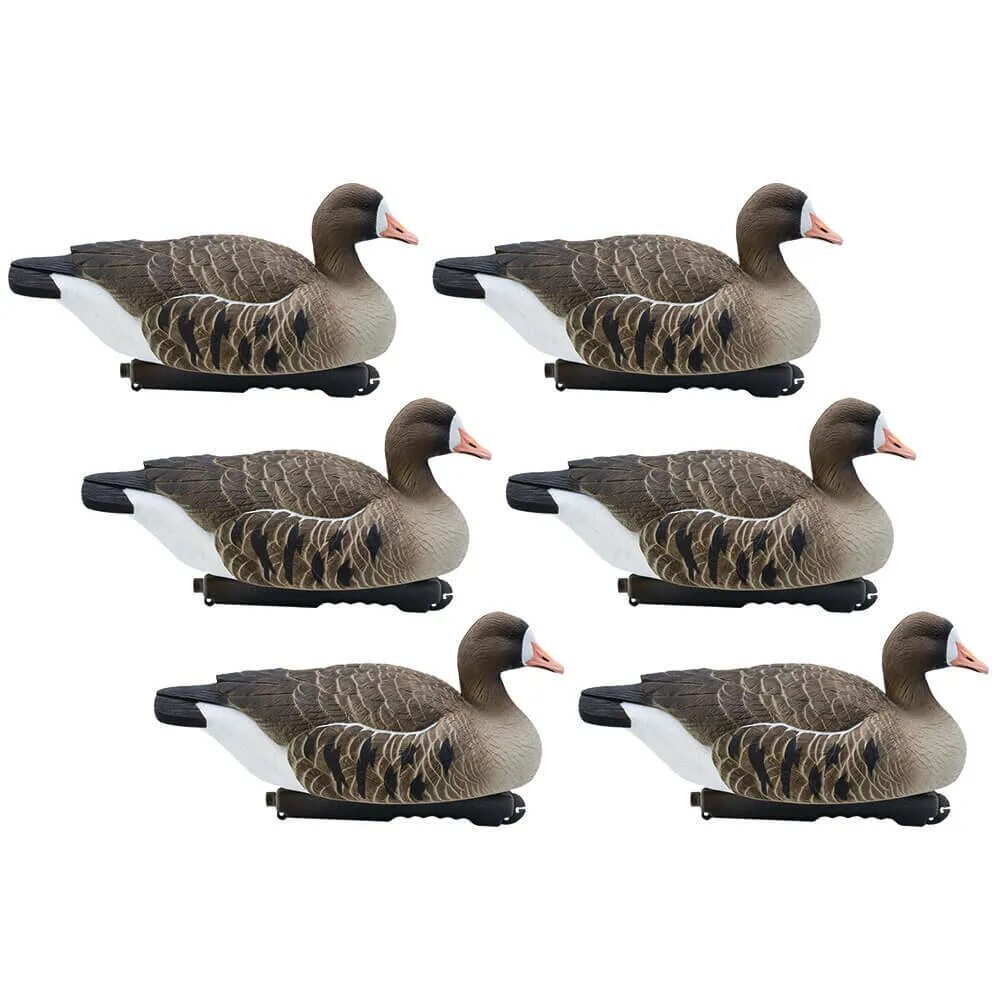 Аквазон. Чучела гусей белолобый superxpe антиблик 10 шт. Ру совт пласт 3д. Чучело гуся "белолобый гусь". Гуси чучела аквазон.