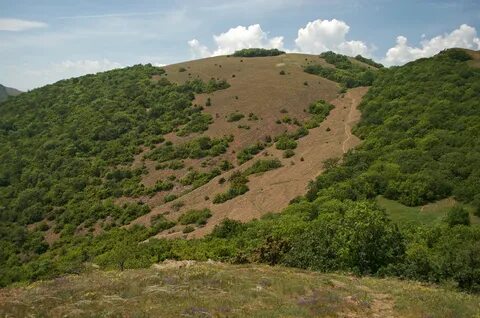Гора перчем
