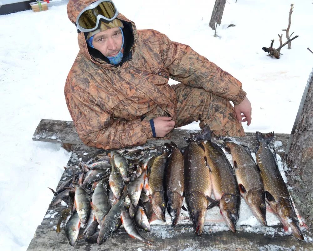 FISHINGSIB вести с водоёмов. Рыбалка в Новосибирской области вести с водоемов. Вести с водоёмов сайт новосибирских рыбаков. Рыбалка в Кемеровской области зимой. Вести с водоемов новосибирска сегодня