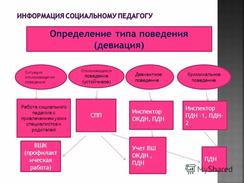 курсовая работа социальный педагог