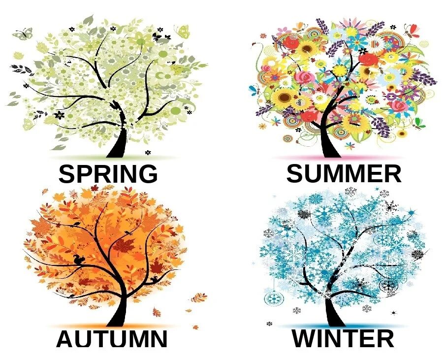 Seasons of the year spring. Времена года иллюстрации. Времена года н анаглийском. Времена года на английском. Времена года на английском для детей.