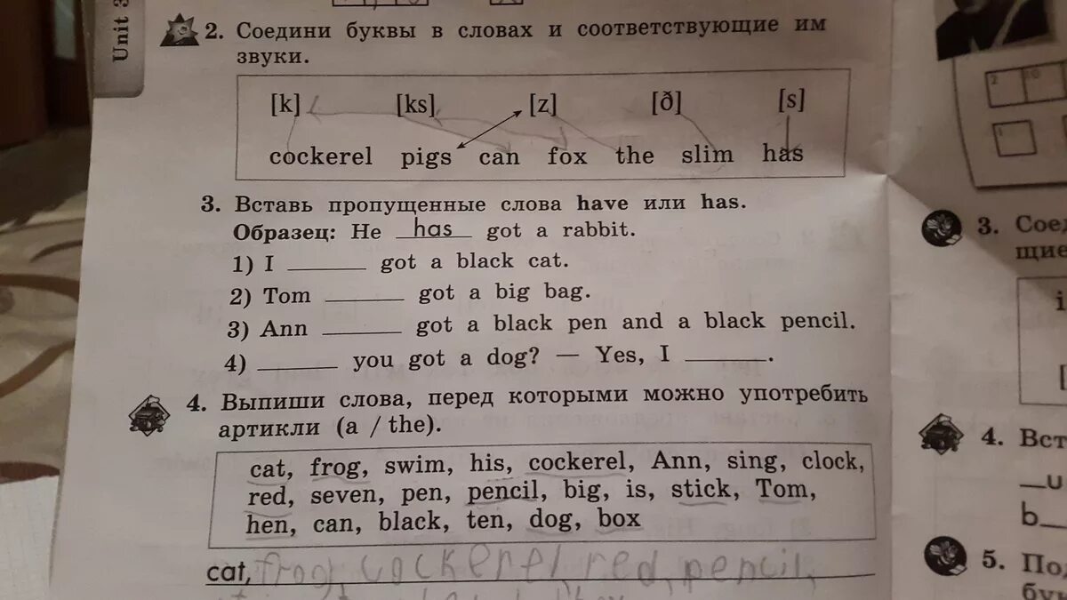 Fox has got. Соедините буквы и соответствующие им звуки. Английский язык 2 класс слова. Соедини буквы в словах и соответствующие им звуки. Соедини английские буквы и звуки.