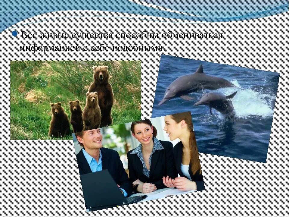 информационные связи в человеческом обществе. информационные связи человека. роль средств связи в современной жизни. все живые существа. информационные связи человека.