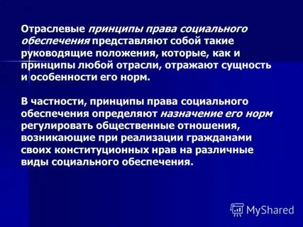 Принцип частности