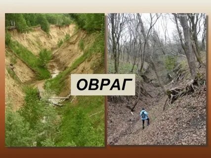 Сторона оврага