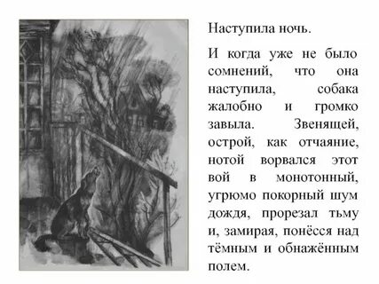 Выборочный рассказ на тему история кусаки