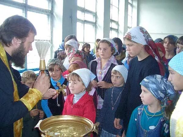 Погода николаевка павловский воронежской. Село Николаевка Воронежская область Павловский район. Село Ерышевка Воронежская область.