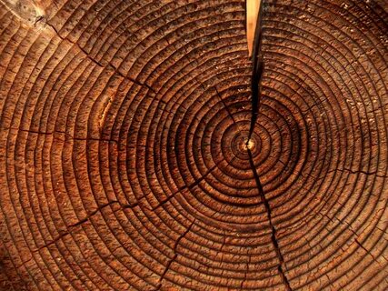 Wood detail