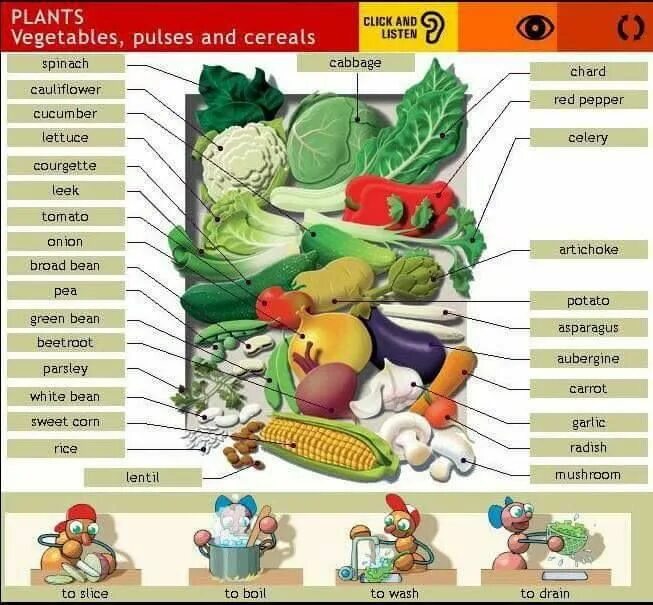 Фрукты и овощи на английском. Овощи на английском. Овощи лексика на английском. Vegetables вокабуляр.