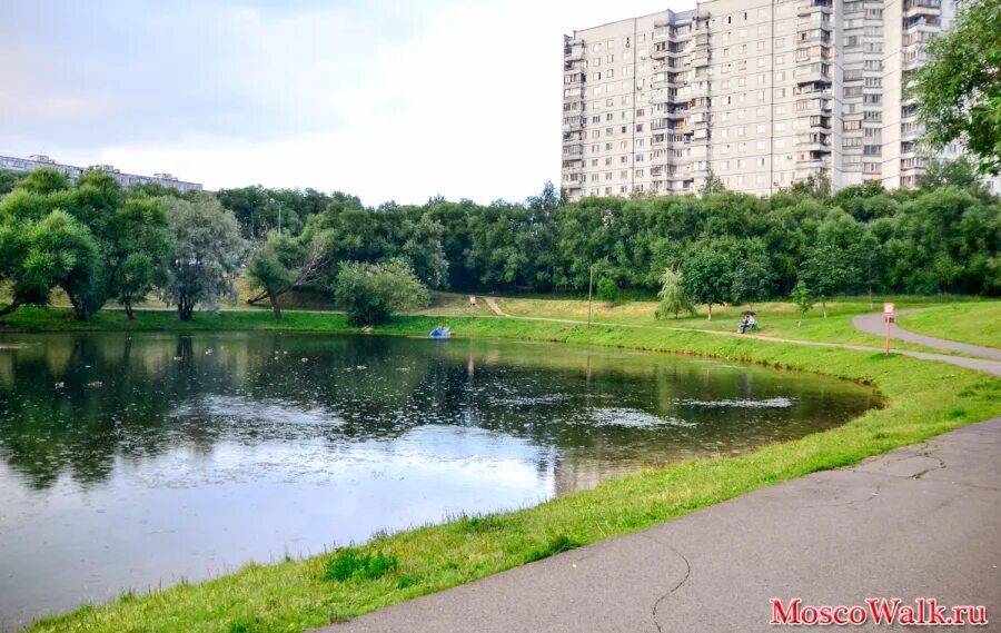 Ясенево вода. Парк Ясеневские пруды. Три пруда в Ясенево. Ясенево пруд Битцевский парк. Усадьба Ясенево Ясеневские пруды.