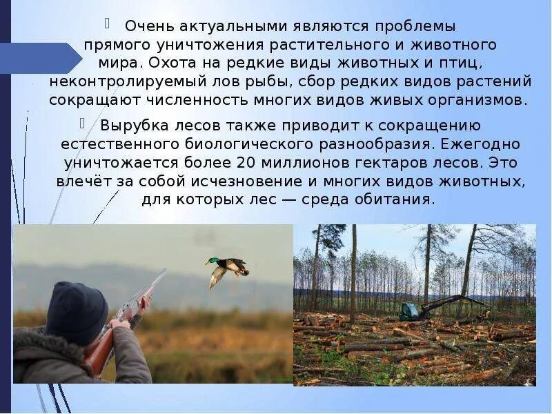 Животный мир проблемы использования