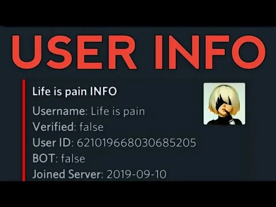User info bot. Bot designer for discord.