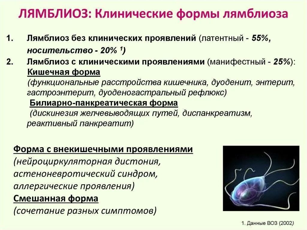 Как вывести лямблии из организма