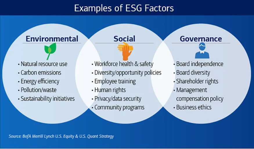 Esg деятельности. ESG принципы. ESG стратегия. ESG принципы расшифровка. ESG критерии.