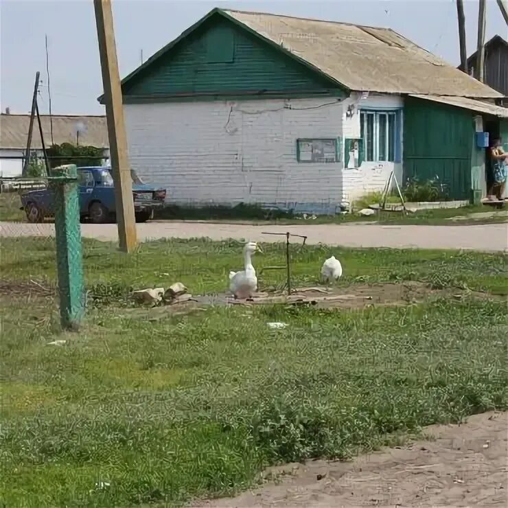 Хутор калиновский волгоградская область киквидзенский район. Киквидзенский район Хутор Чернолагутинский. Хутор Калиновка Волгоградская область. Калиновка Киквидзенский район Волгоградская область. Гришин поселок Киквидзенский.