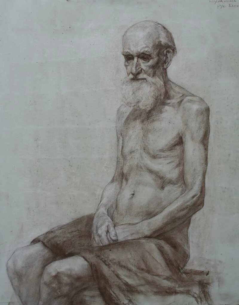 Мускулы лица. Анатомия пожилых людей. 3д моделирование в zbrush. Анатомия пожилых людей. Лицевые мышцы лица анатомия.