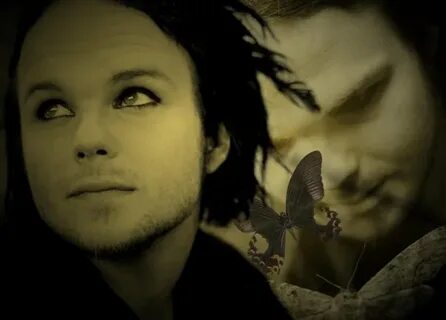 The rasmus nights