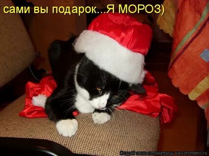 Новый год к нам приходил приходил