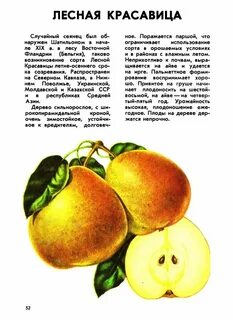 Нет груш как пишется