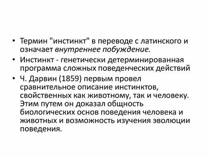 Животный инстинкт 84 текст