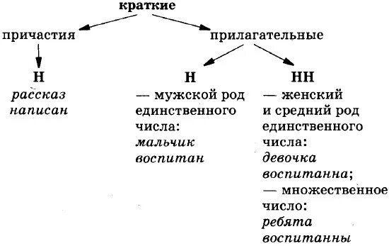 Написано краткое причастие. Правила написания н и НН В кратких прилагательных и причастиях. Правила н НН краткое прилагательное. Одна и две буквы н в кратких причастиях и прилагательных. Правило написания н и НН В кратких причастиях и прилагательных.