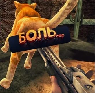 Постал 2 кошка