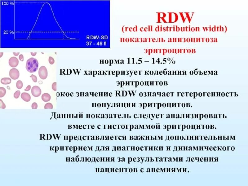 Rdw распределение эритроцитов. Показатель анизоцитоза эритроцитов выше нормы причины. анизоцитоз эритроцитов показатель норма в %. rdw в анализе крови норма. показатели крови rdw что это.