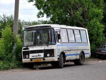 Устье автобусы