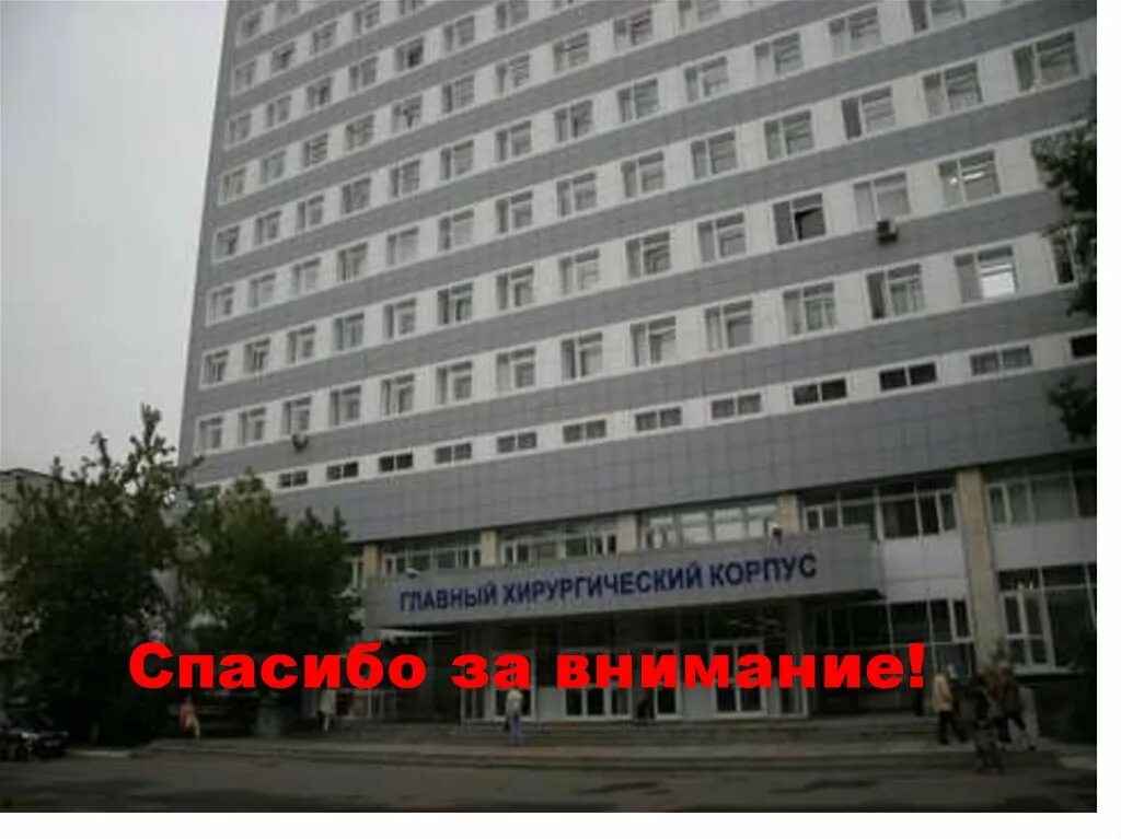 Моники регистратура запись