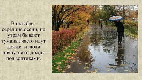 Поздняя осень осенью часто идут дожди