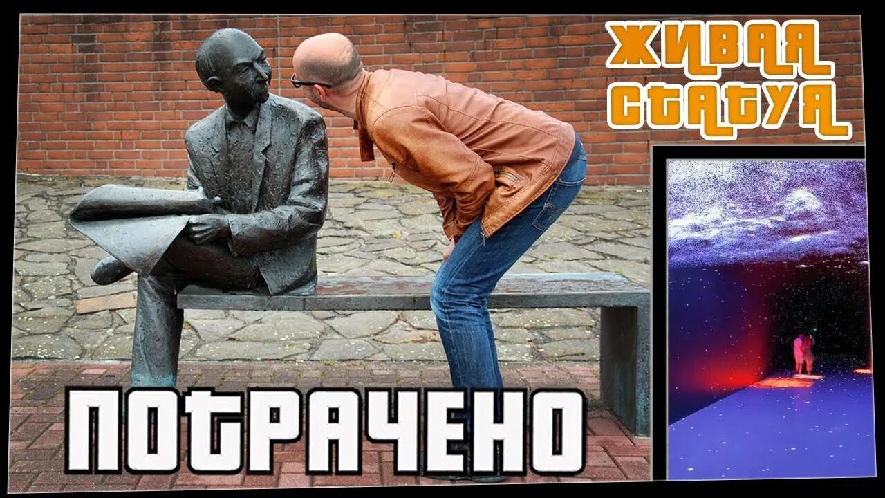 Смешные короткие видео с животными. Смешные животные гиф. Интересные гифки про животных. Смешные видео. Смешные гиф картинки.