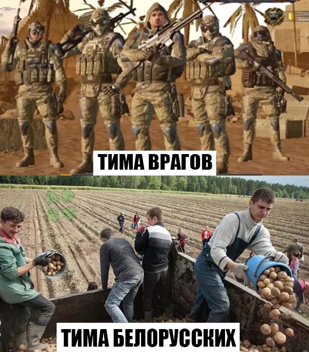 Кто по нации тим тим. Моя тима и тима врага. тима мемы. моя тима мем. белорусский мем.