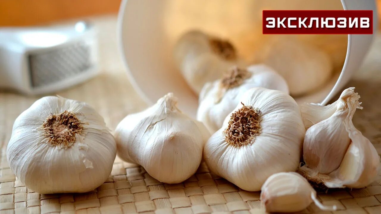 С какого возраста можно давать чеснок ребенку. С какого возраста можно давать чеснок ребенку
