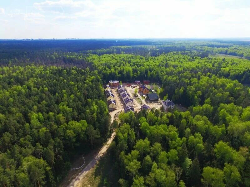 форест виладж коттеджный поселок. лесная сказка коттеджный поселок. отзывы лесная деревня. отзывы лесная деревня. мишкин лес коттеджный поселок.