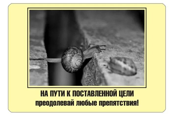 Преодолев за четыре дня недельную. Преграды на пути к цели. Преодолев за четыре дня недельную. Тестостерон энантат схема приема 250. Преодоление препятствий на пути к цели.