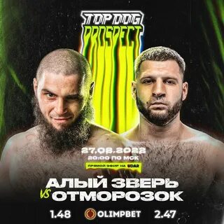 Кард топ дог