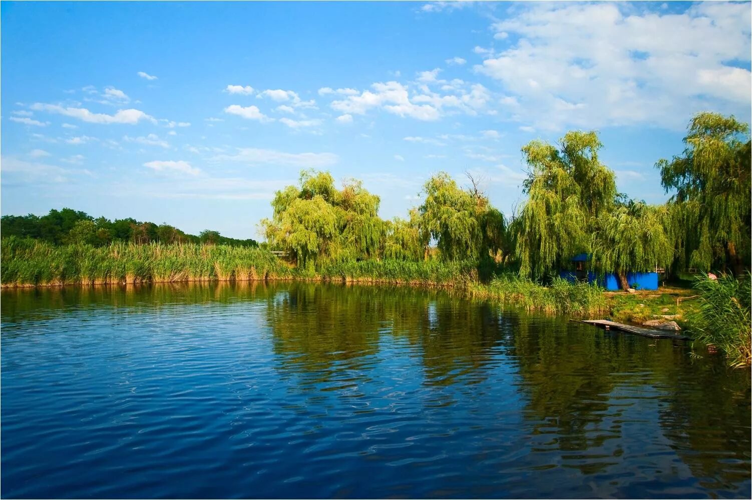 Погода рассвет староминский краснодарский. Ст Павловская Краснодарского края. Тихорецкий район Краснодарский край. Река Челбас Тихорецкий район. Павловский район станица Павловская.