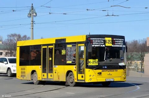 239 автобус время