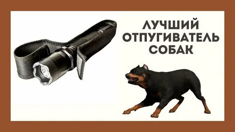 Какой лучший электрошокер от собак