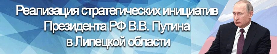 Реализация инициатив президента российской федерации