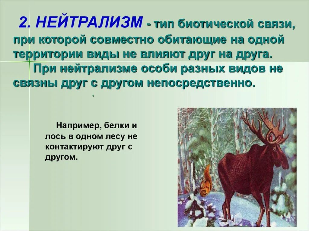 Что такое нейтрализм. Нейтрализм это в биологии. Виды нейтрализма. Тип взаимодействия нейтрализм. Нейтрализм примеры.