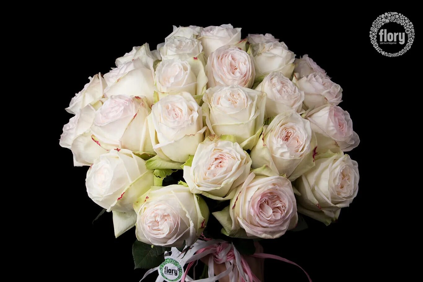 Купить White o hara оптом с доставкой - AVRORA flowers