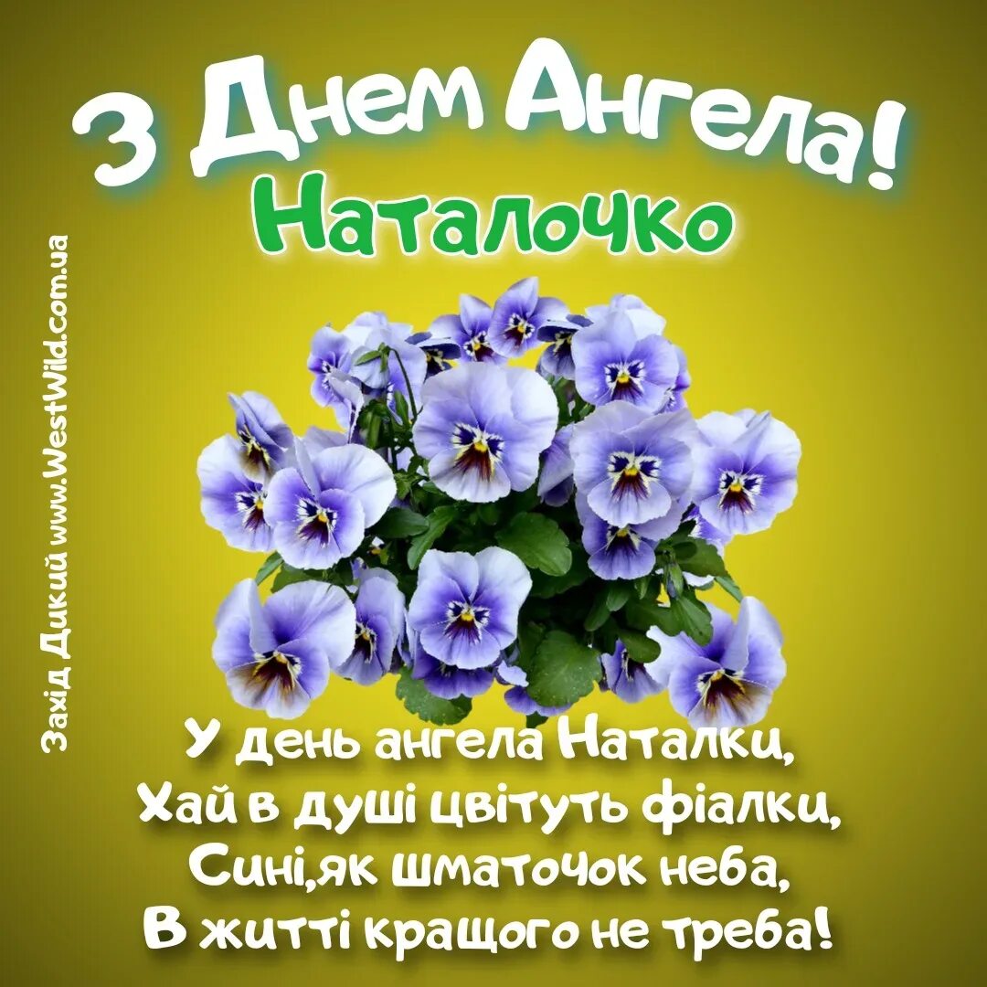 День ангела натальи по церковному 2024 календарю. С днём Натальи поздравления. Наталочка з днем ангела.