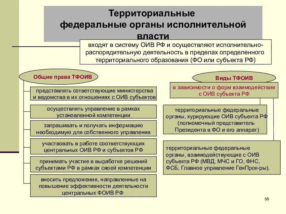 Кто является руководителем органов исполнительной власти. Территориальные федеральные органы исполнительной власти. Структура и полномочия федеральных органов власти в РФ. Органы управления исполнительной власти РФ. Территориальные органы федеральных органов исполнительной власти.