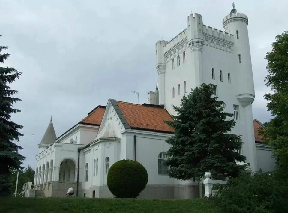 Дворец фантаст Сербия. Дунджерский замок Сербия. Бечей Сербия замок дворец фантаст. Особняк в Сербии. Европа ковид