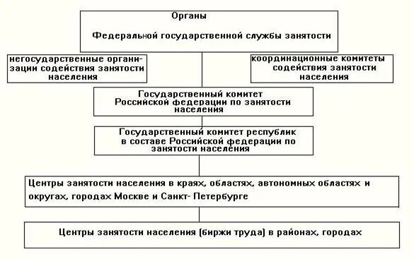 Какие органы осуществляют трудоустройство