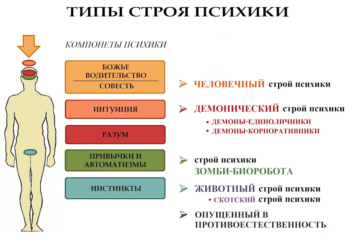 Какой инстинкт является основным. Инстинкты человека. Основные инстинкты человека. Три основных инстинкта человека. Базовые инстинкты человека.