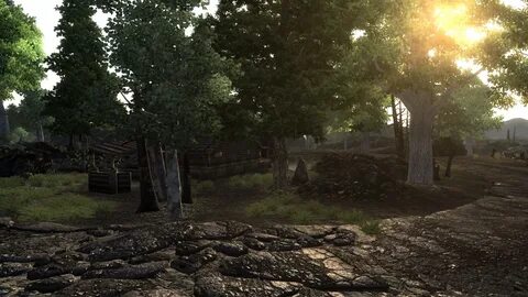 Animation overhaul forge