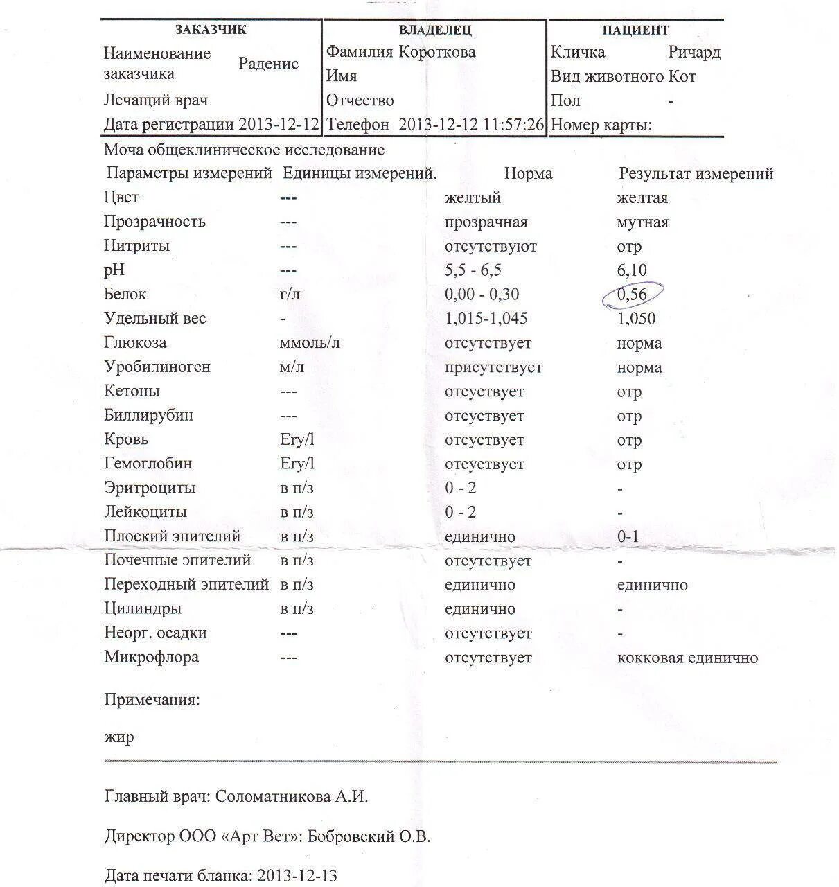 Норма показатели кислотности мочи у котов. У кошки моча с примесью. Реакция на гемоглобин в моче