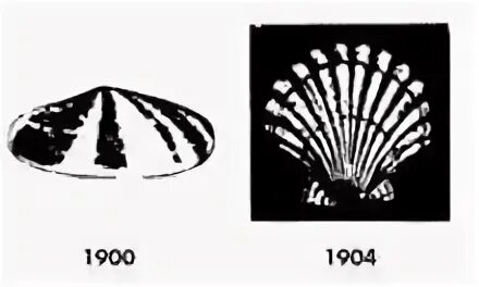 Шелл логотип 1904.